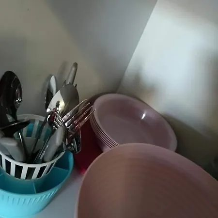 Gfamily 게스트하우스 알바